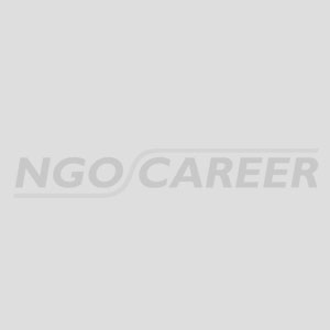 NGO Career banner
